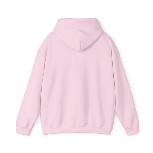 Pink Foundations Hoodie