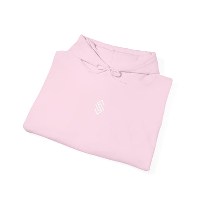 Pink Foundations Hoodie